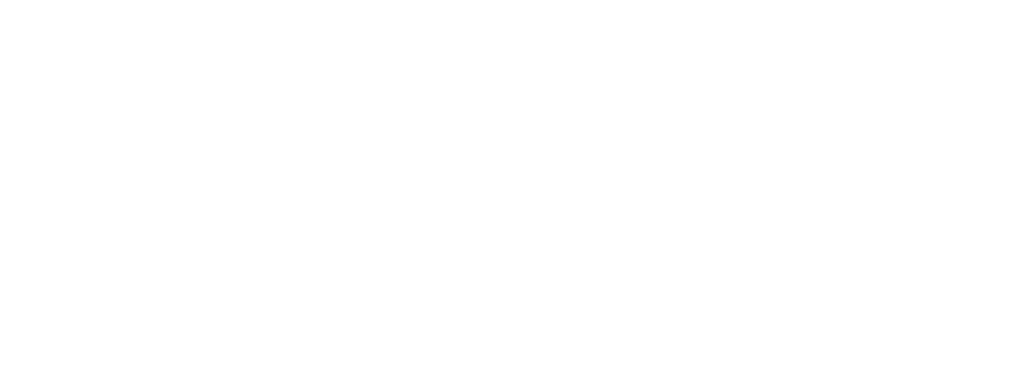 The European Strategy Institute