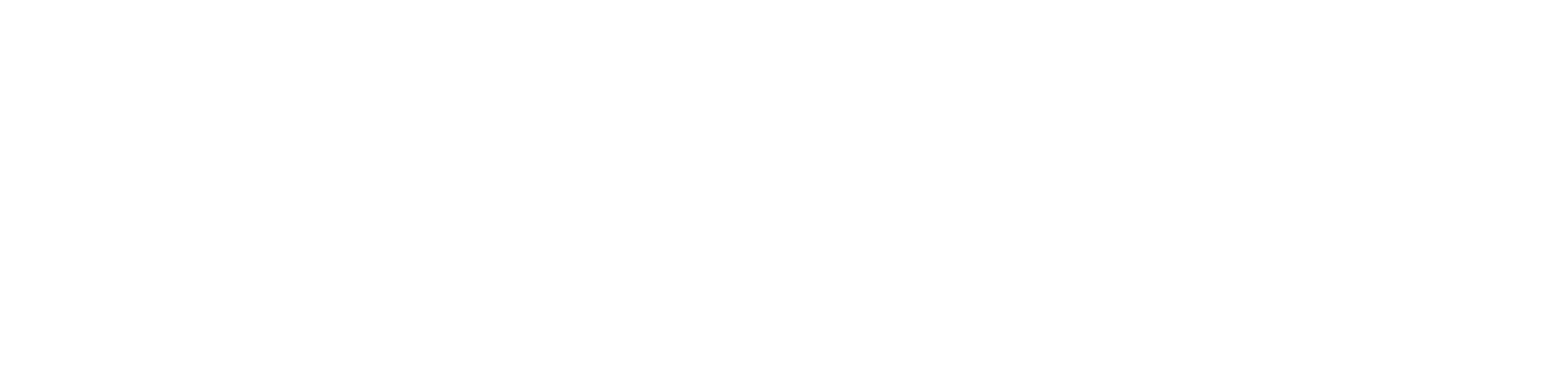 The European Strategy Institute